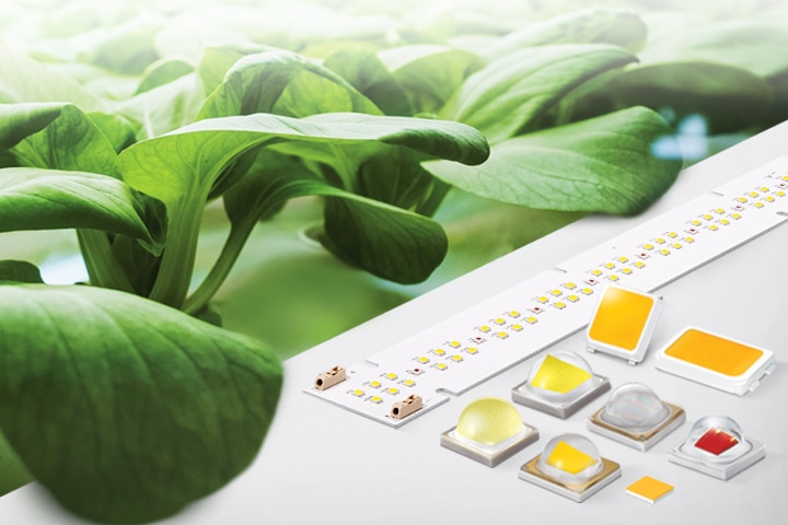 An illustrative image of Samsung's horticultural lighting LEDs against an image of vertical farming.