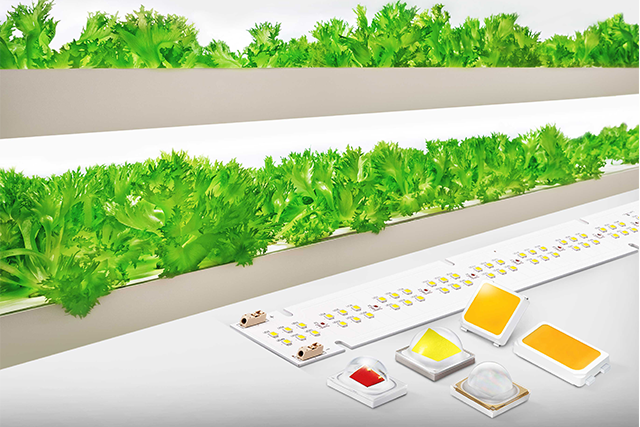 Samsung Introduces Horticulture LEDs for Improving Greenhouse and Vertical Farming