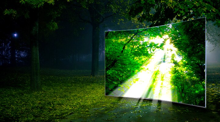Samsung LEDs a bright and slim tv showing natural colors of forest