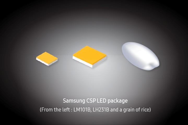 Samsung LEDs Samsung CSP LED packages (from the left: LM101B, LH231B, LH231B and a grain of rice)
