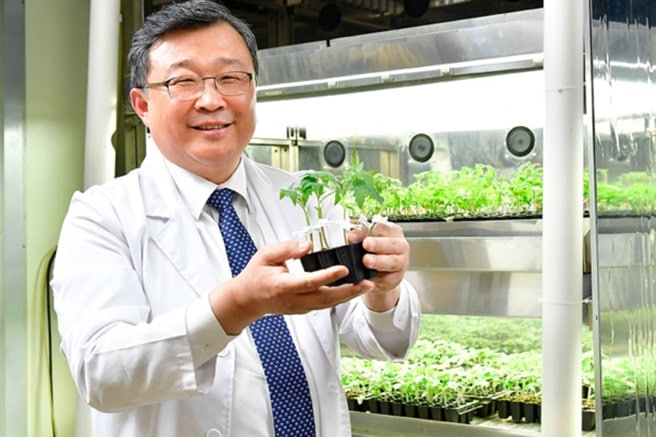 [Going Green 3] [Interview] Lighting the Way: Professor Changhoo Chun Discusses Samsung’s Horticulture LEDs for Vertical Farming