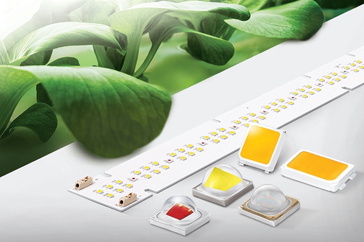 An illustrative image of horticulture LEDs with plants.
