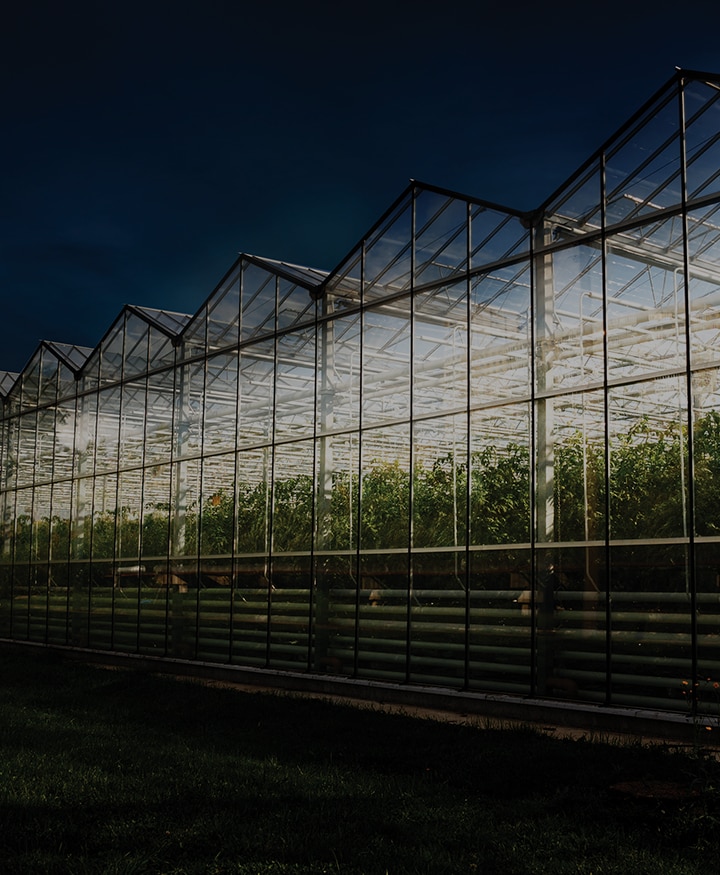 Horticulture Lighting Applications, SAMSUNG LED