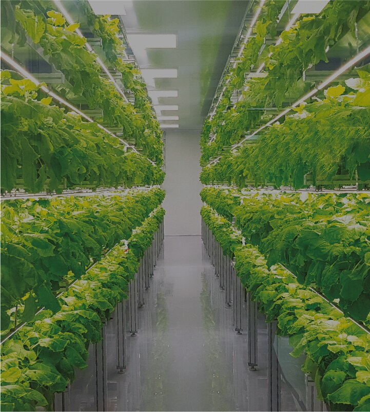 James Dyson Bank Kontoret Horticulture Lighting Applications | SAMSUNG LED | Samsung LED Global  Website